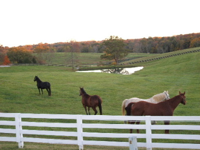 farm_fall_2005_019.jpg